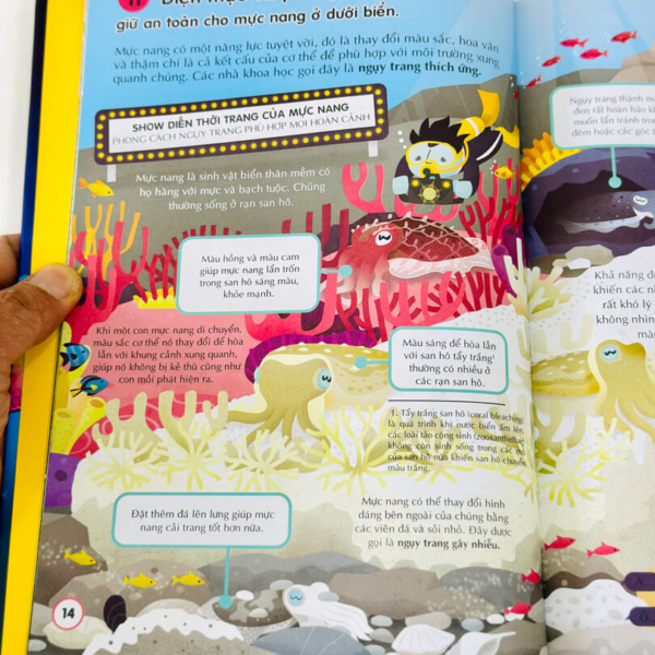 100 Bí Ẩn Đáng Kinh Ngạc Về Các Đại Dương - 100 Things To Know About The Oceans