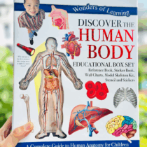 Box set co the nguoi (1)