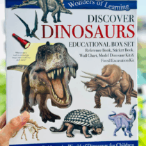 Box set khung long (1)