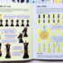 Choi co cung be usborne chess bo 3q 1