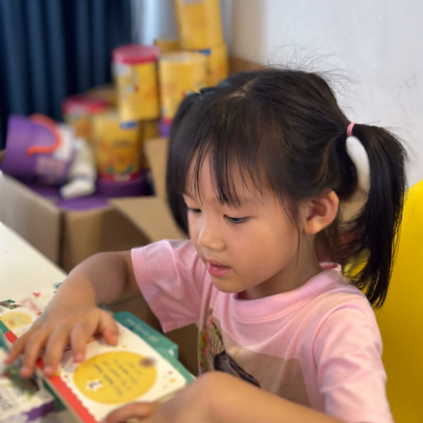 Little Wonders My First Mini Lift the Flap Book Bộ 6q