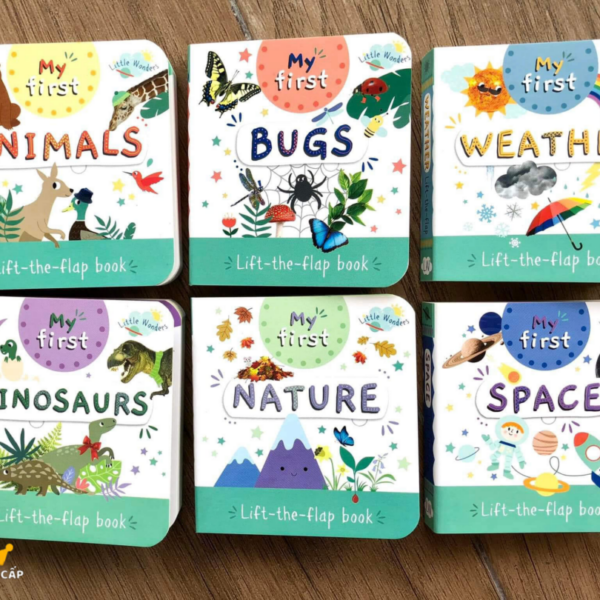 Little Wonders My First Mini Lift the Flap Book Bộ 6q
