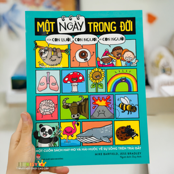 Một ngày trong đời của con lười, con ngươi và con người