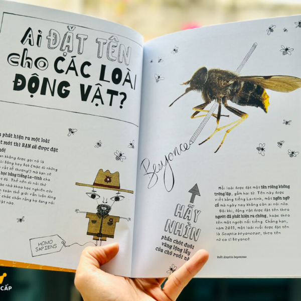 Vì sao cá không bị ngộp nước