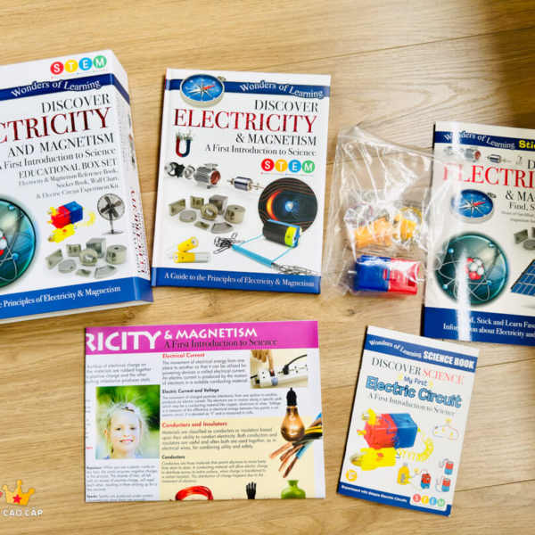 WONDERS OF LEARNING BOX SET - ELECTRICITY & MAGNETISM