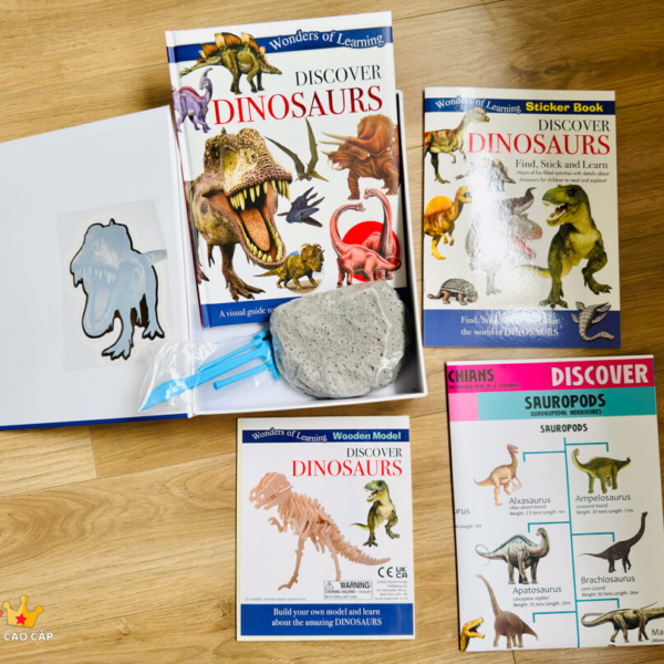 WONDERS OF LEARNING BOX SETS - DINOSAURS