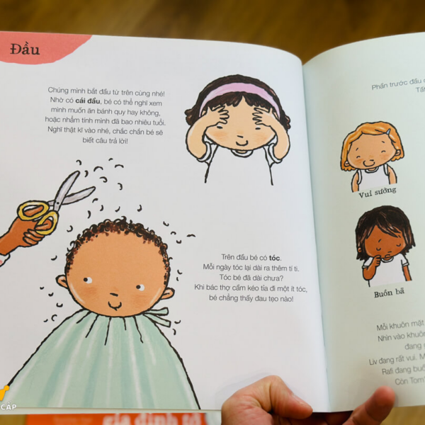 Xôn xao đầu đời - Bộ 4Q