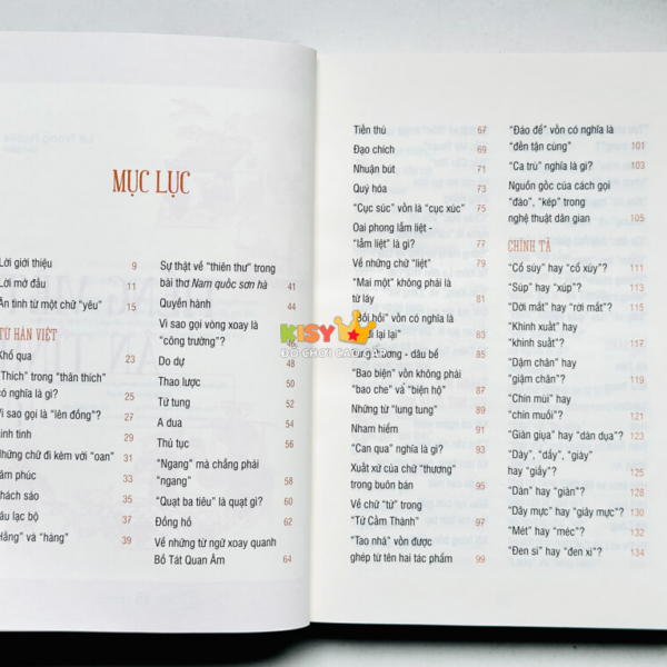 Tiếng Việt Ân Tình