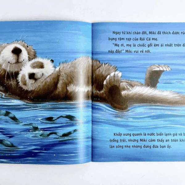 Những câu chuyện đong đầy yêu thương Bộ 4q