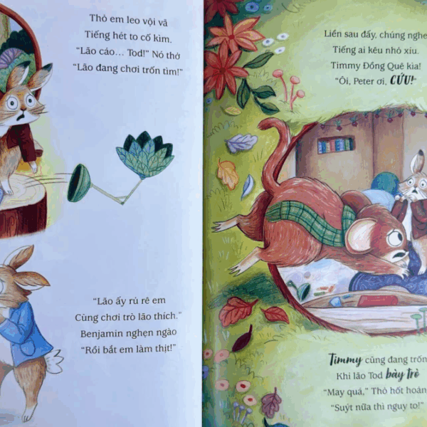 Sách Tranh THẾ GIỚI CỦA THỎ PETER Bộ 3Q