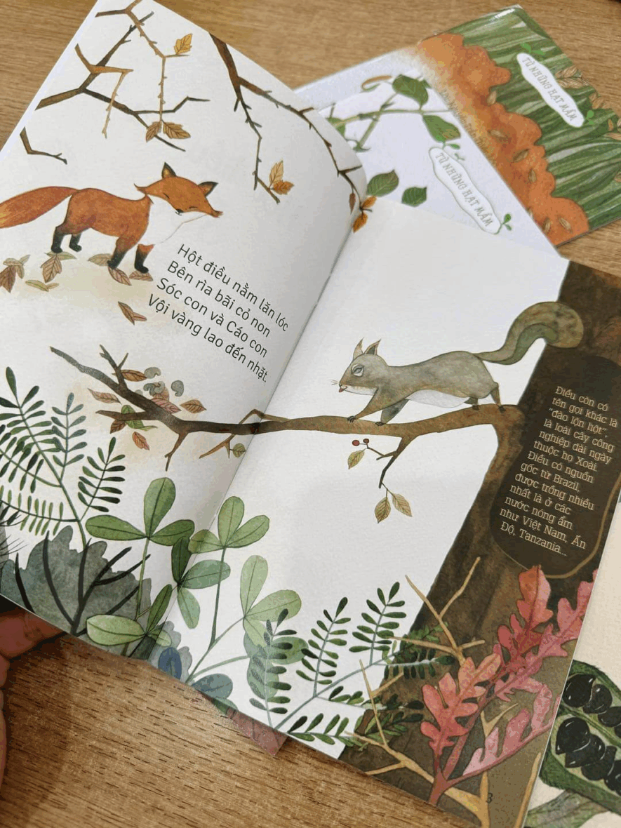 combo-tho-tu-nhung-hat-mam-2