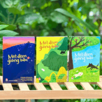 Mot dem giong bao (1)