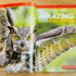 National geographic kids almanac 2022 (7)