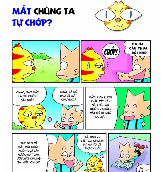 Quiz! Khoa học kì thú - Cơ thể con người