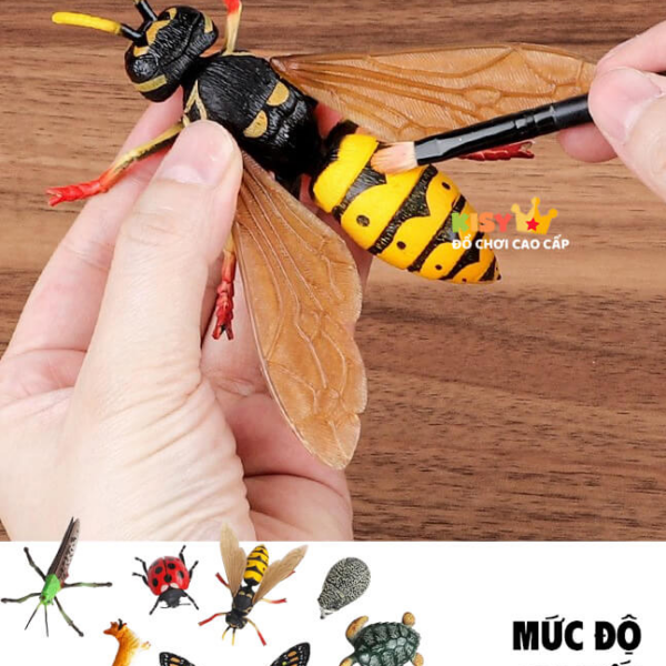 Set Mô hình 4D Động Vật