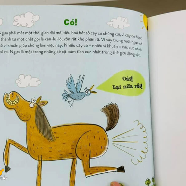 Sự thật thú vị về loài vật - Động vật xì hơi như thế nào?