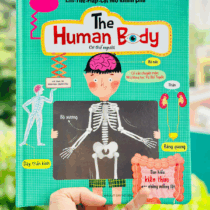 THE HUMAN BODY (1)