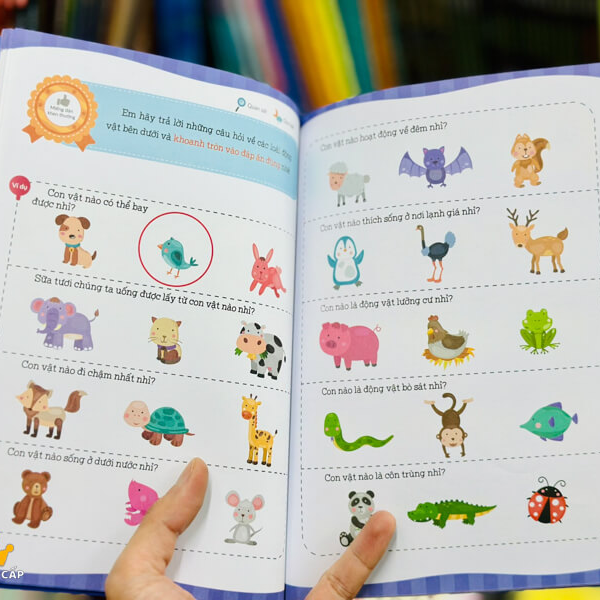 COMBO - TĂNG CƯỜNG NÃO BỘ 4Q